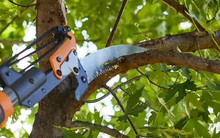 aménagement paysager